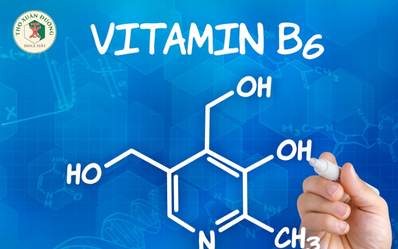 Vitamin B6 và tác dụng trên bệnh động kinh